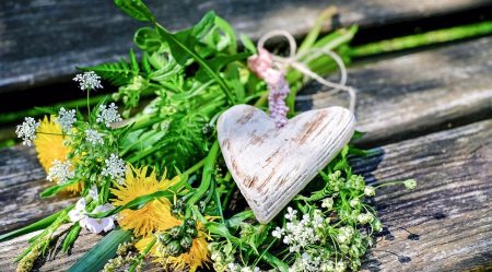 flowers-1341687_1280